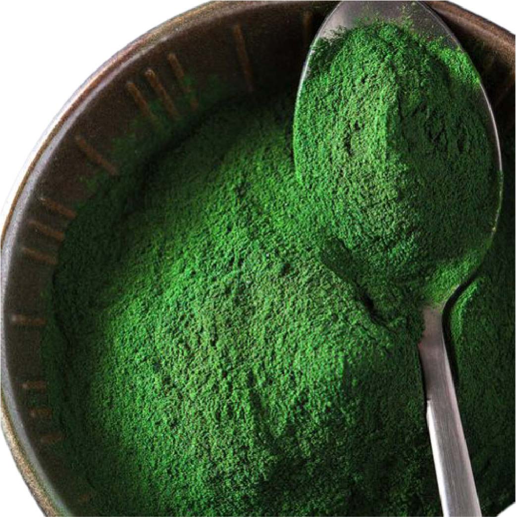 Spirulina powder