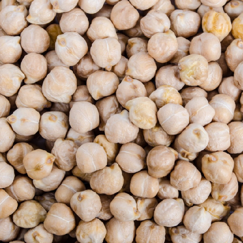 White Chickpeas