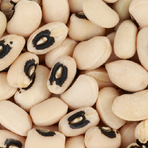 Black Eyed Peas (Chavali)