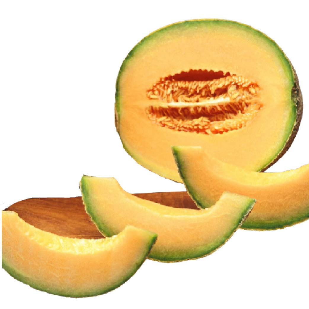 Musk Melon