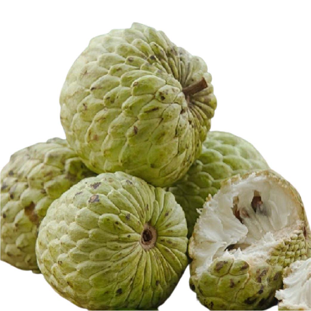 Custard Apples