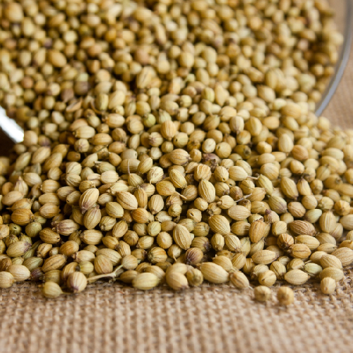 Coriander Seed and Powder