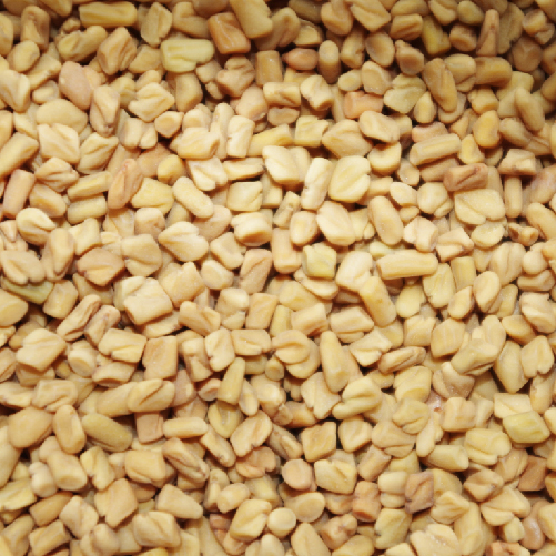 Fenugreek Seeds