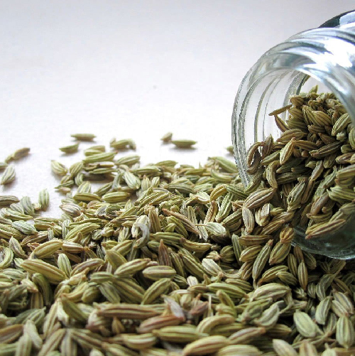 Fennel Seeds