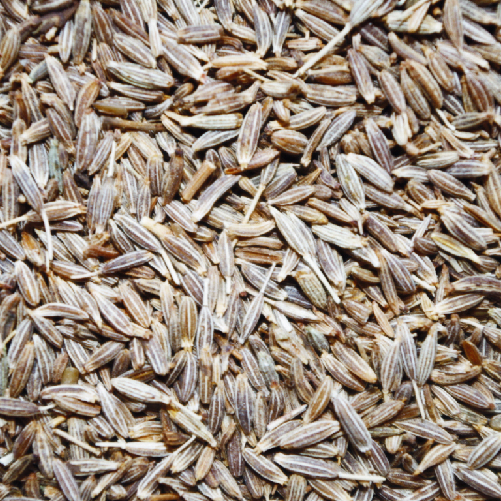 Cumin Seeds