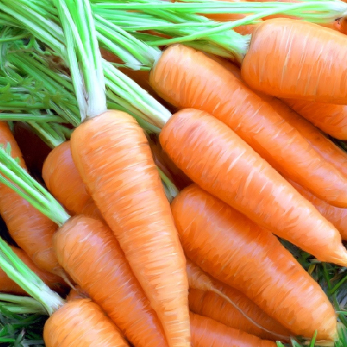 Carrots