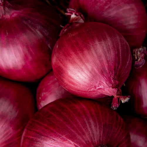 Fresh Onion