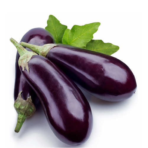 Brinjal