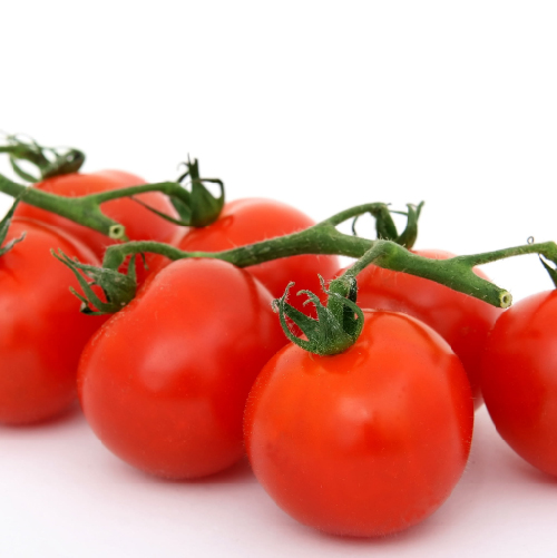 Tomato