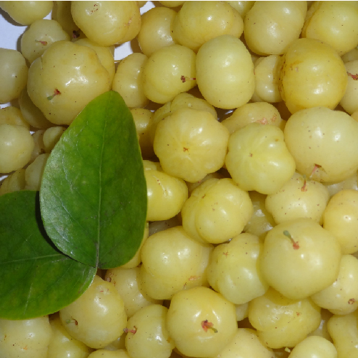 Amla( Indian Gooseberry )