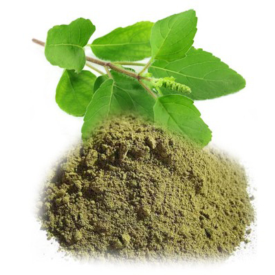 Tulsi powder