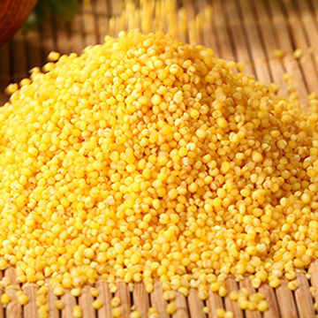 Yellow Millet