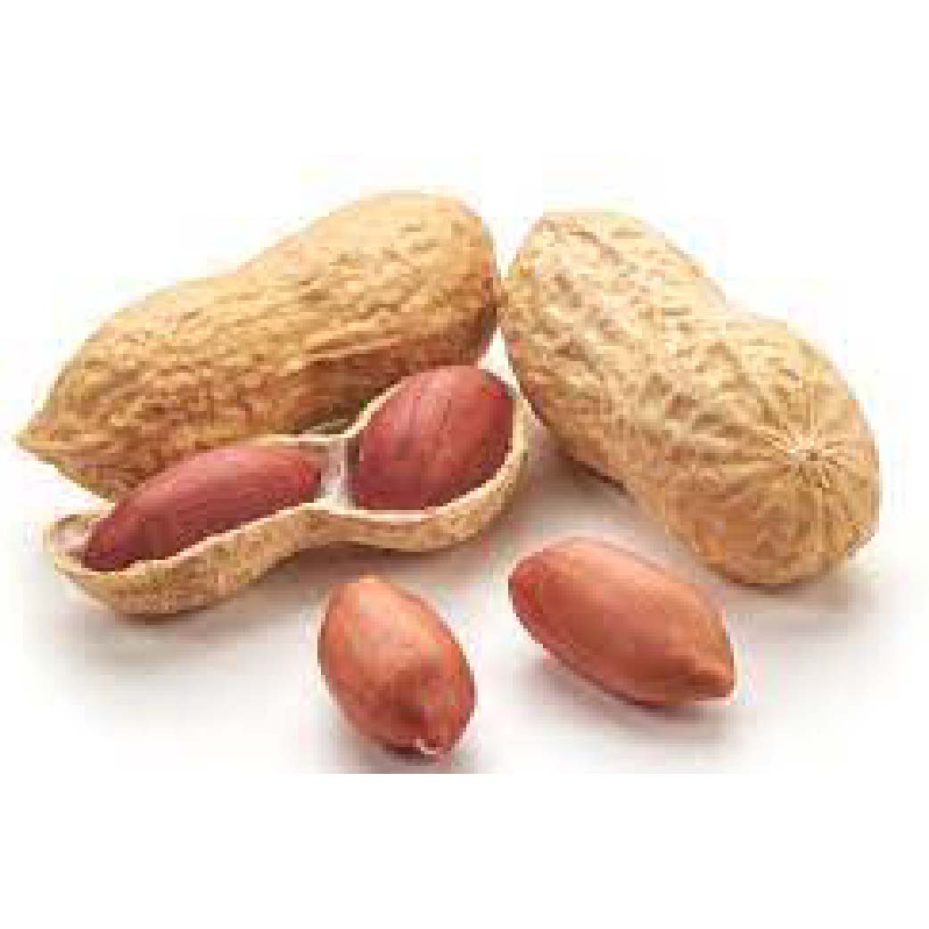 Peanut Kernels