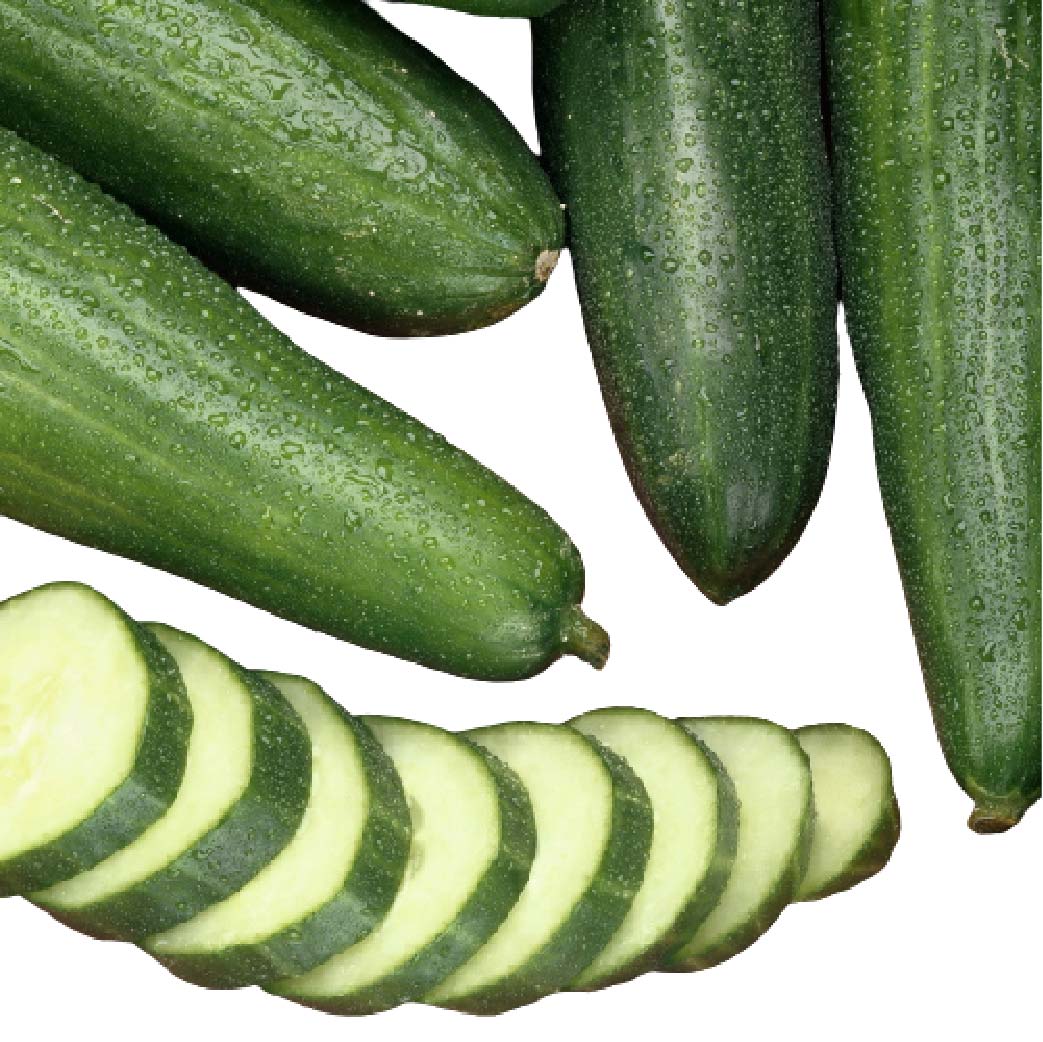 Cucumber